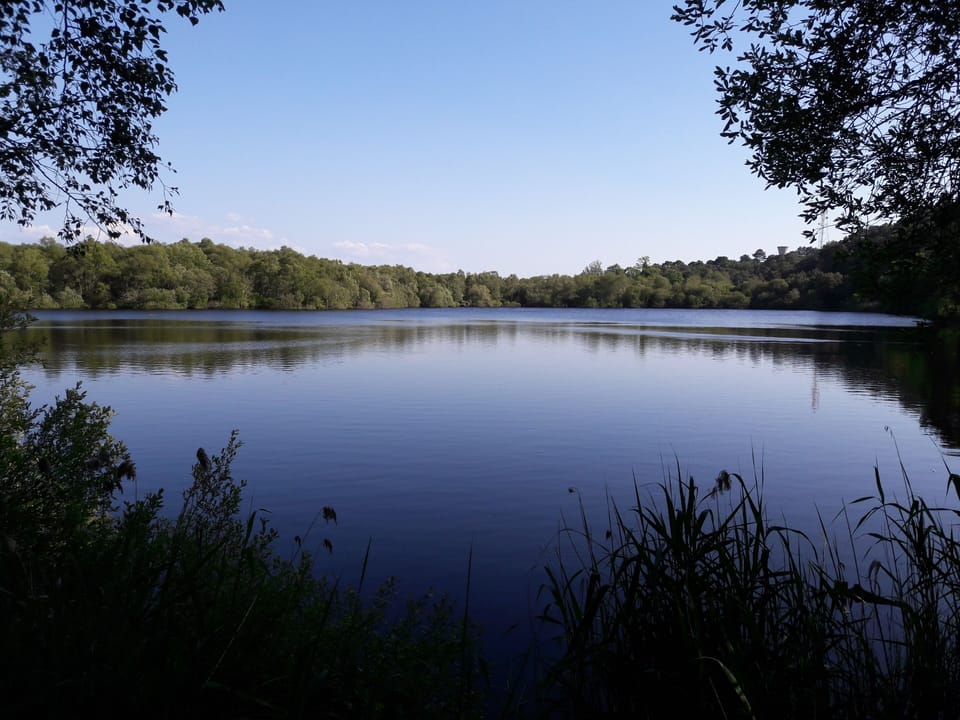 Lake