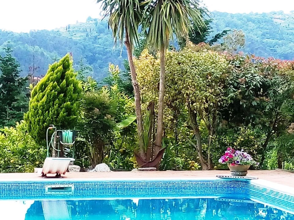 POOL WITH DIVING BOARD