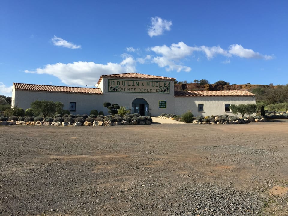 Olive oil factory and showroom/shop