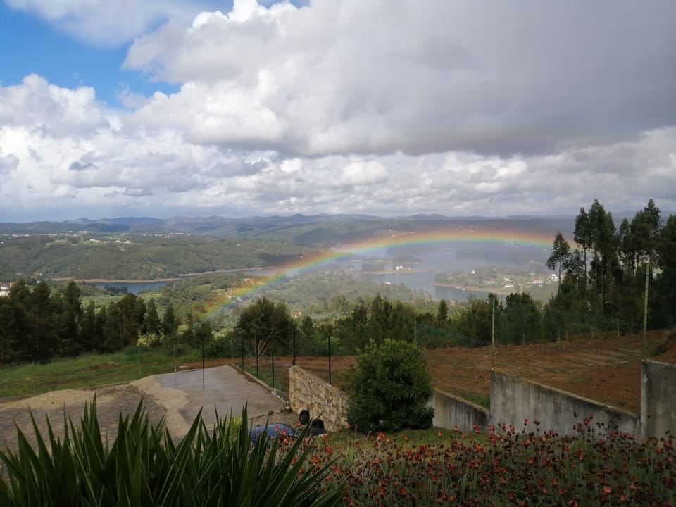Vista do jardim 