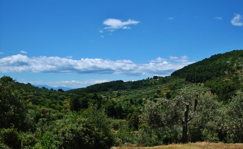 View from cottage