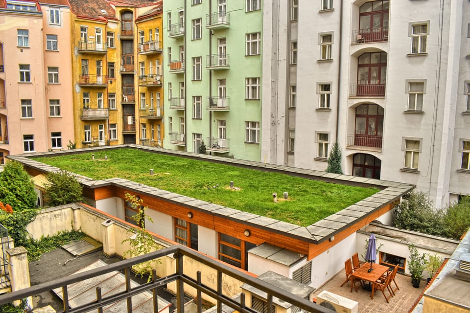 View to the backyard from the bedrooms windows