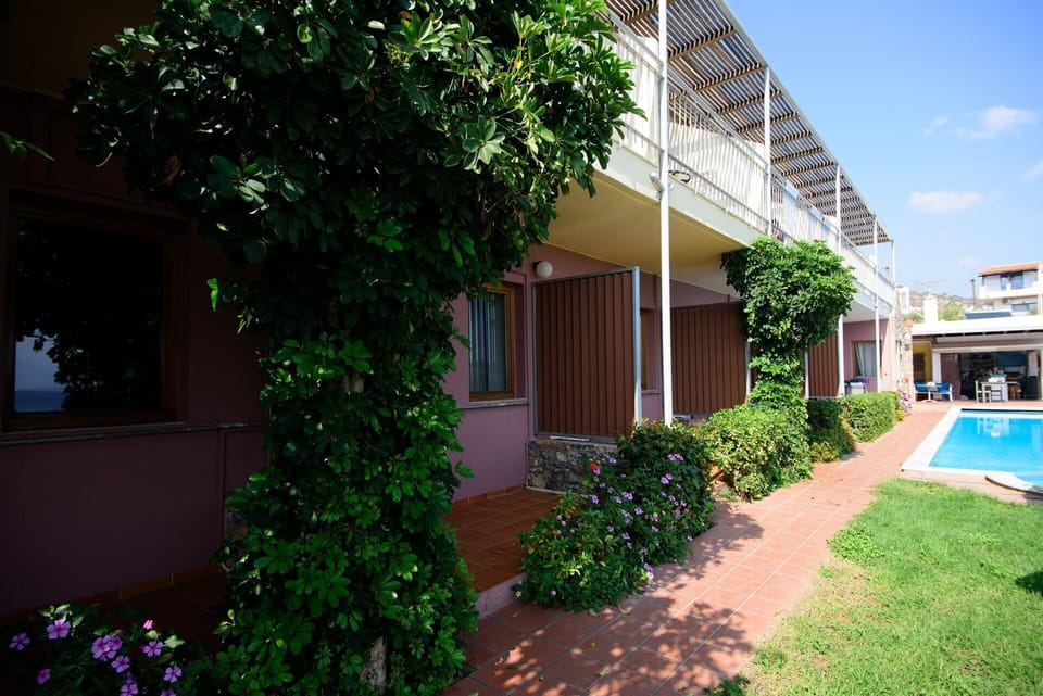 Lower floor studio and garden pool
