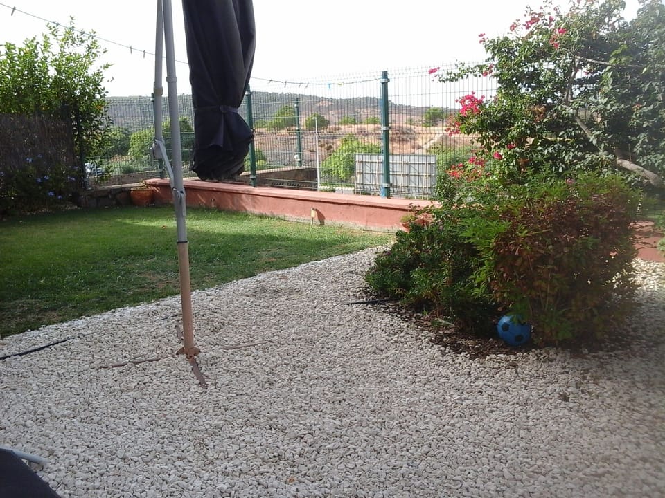 Garden ii