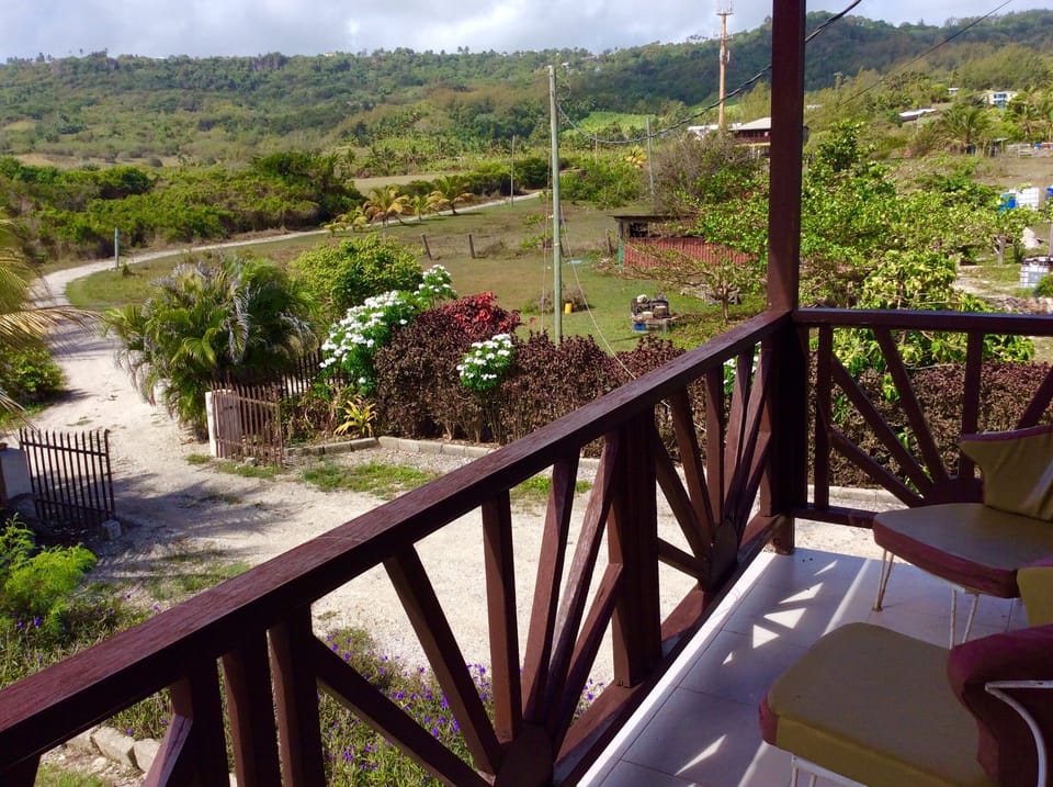 Hillside views overlooking nearby horse stables.