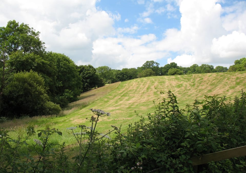 Field next-door