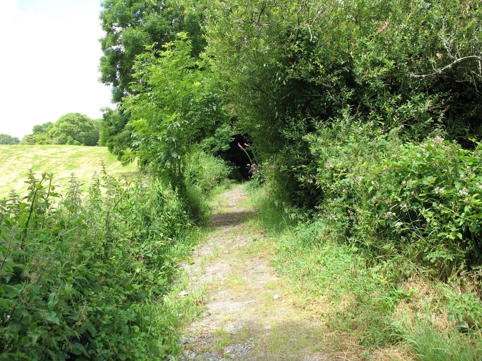 Footpath next to cottage