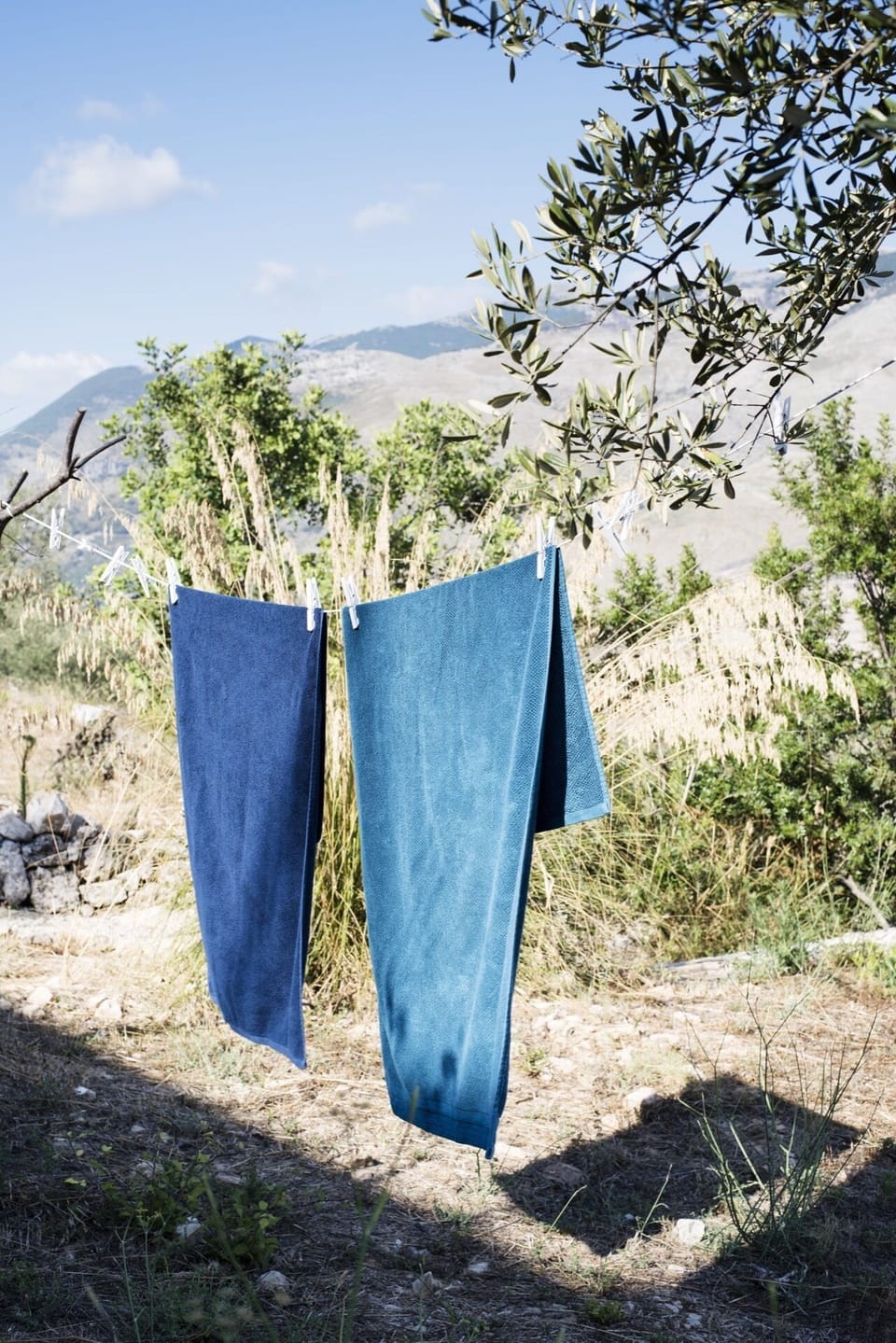 Pool towers drying in the olive grove.
