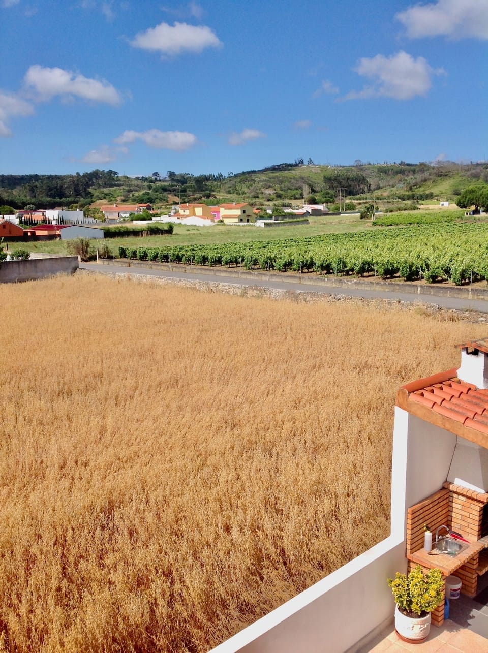 View from property