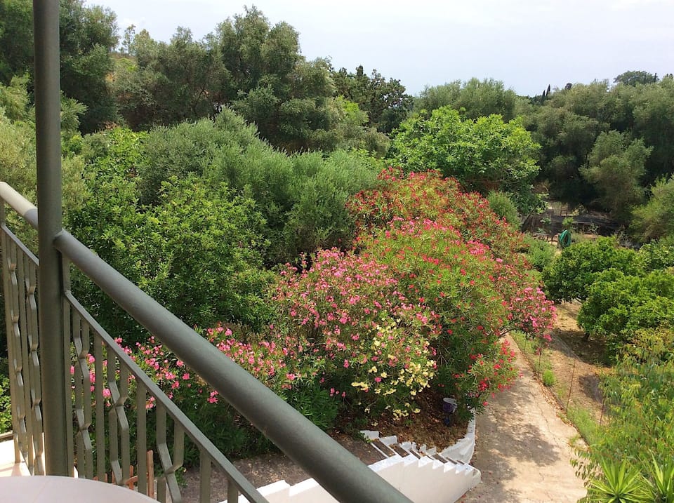 Kefalonia apartments: one studio offers a garden view. Kefalonia apartments