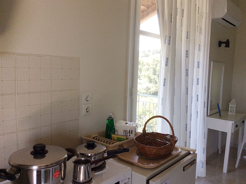 Studio offers a kitchenette with compact refrigerator. Kefalonia apartments