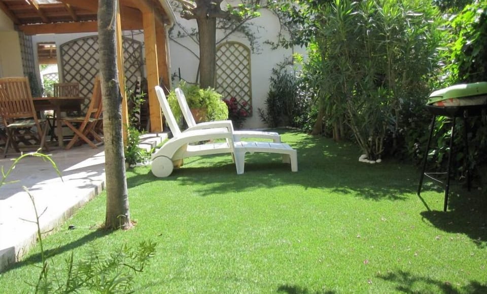 Garden, Park