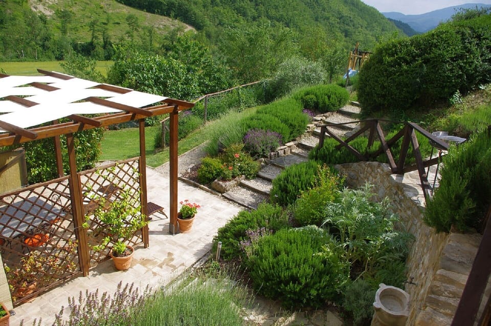 View from the terrace