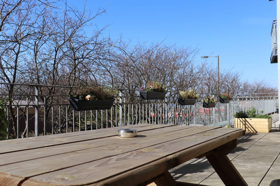 Terrace.