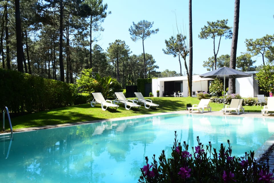 Pool with sunbathing area