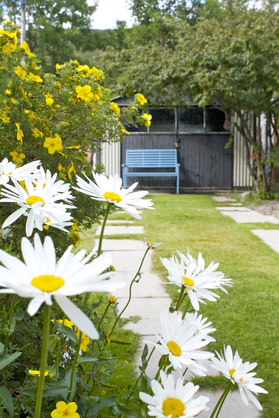Relax in the back garden 