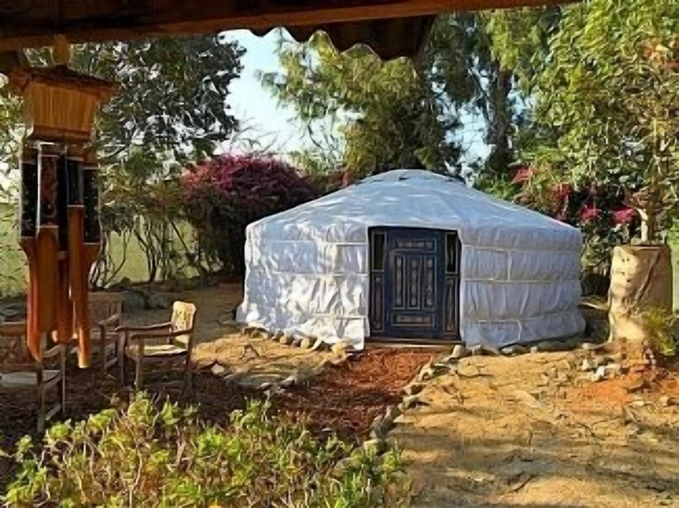 Luxury Camping