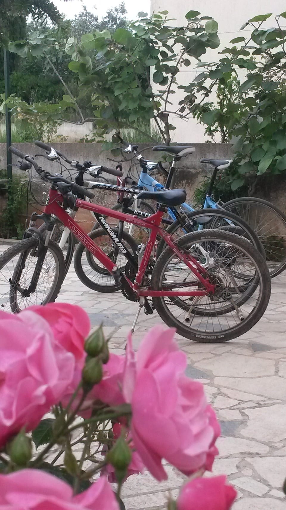 rent a bikes