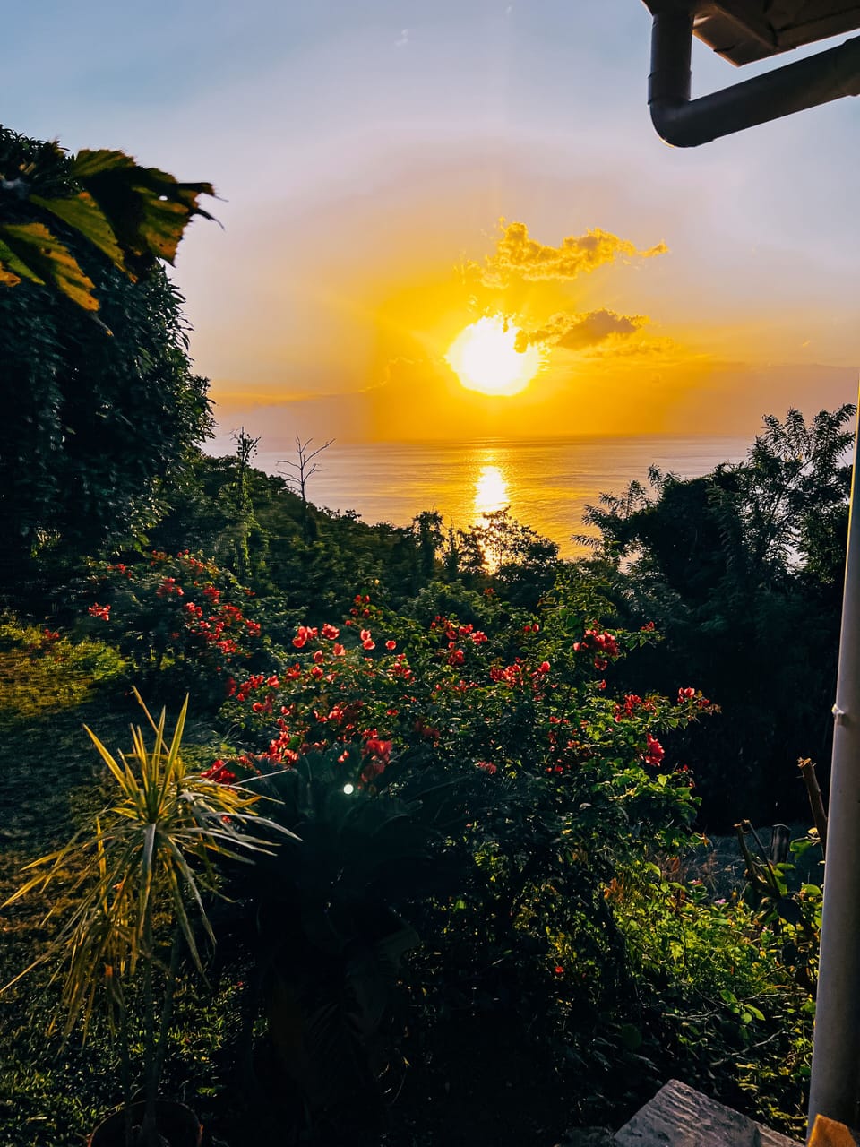 View from property
