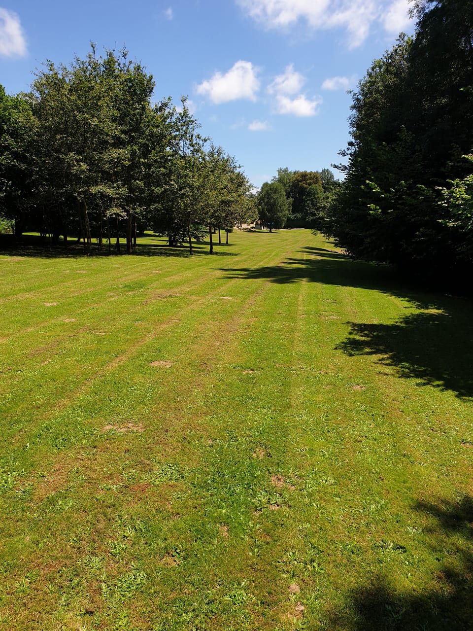 Our child friendly gites are ideal for families with so much land for children.