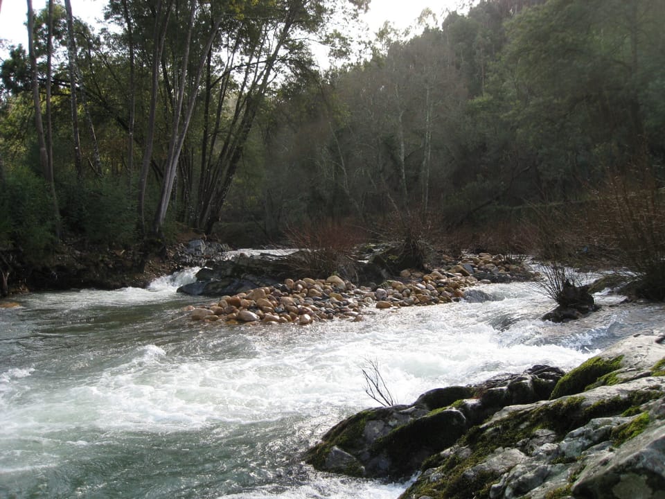 Whitewater adventure