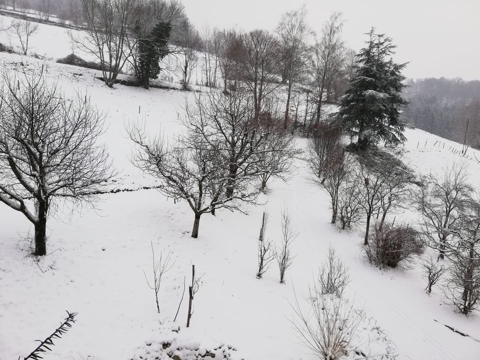Snow and ski sports