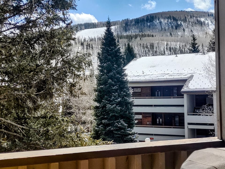 View from my balcony...the run you see is Simba