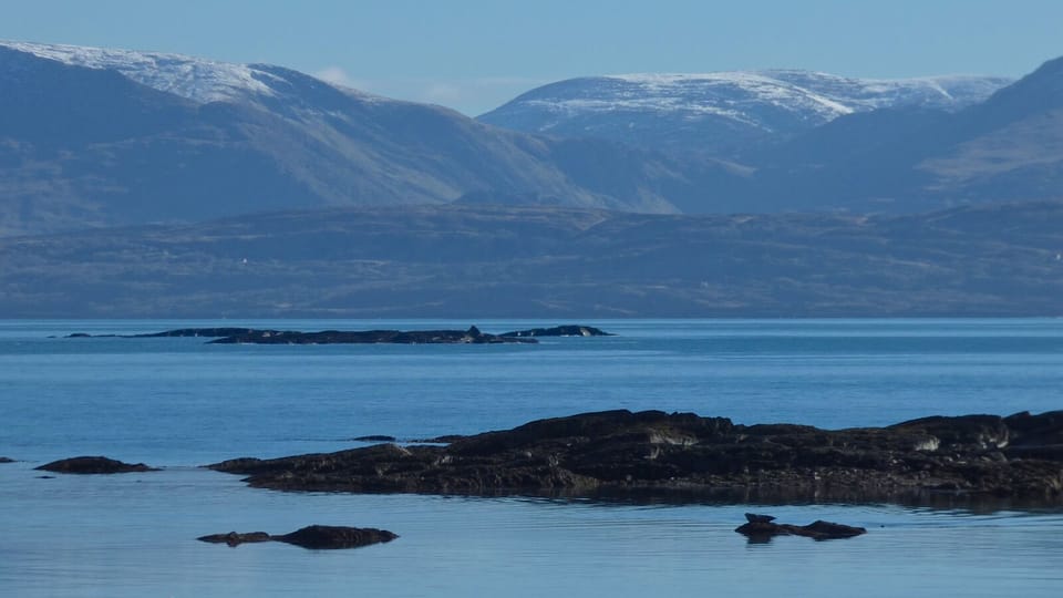 Snow on the Beara hills...seal basking in the winter sun!..