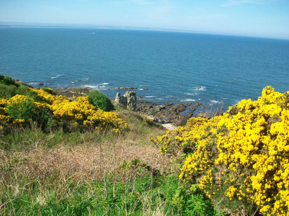 Typical scenery along the Fife coastal walk