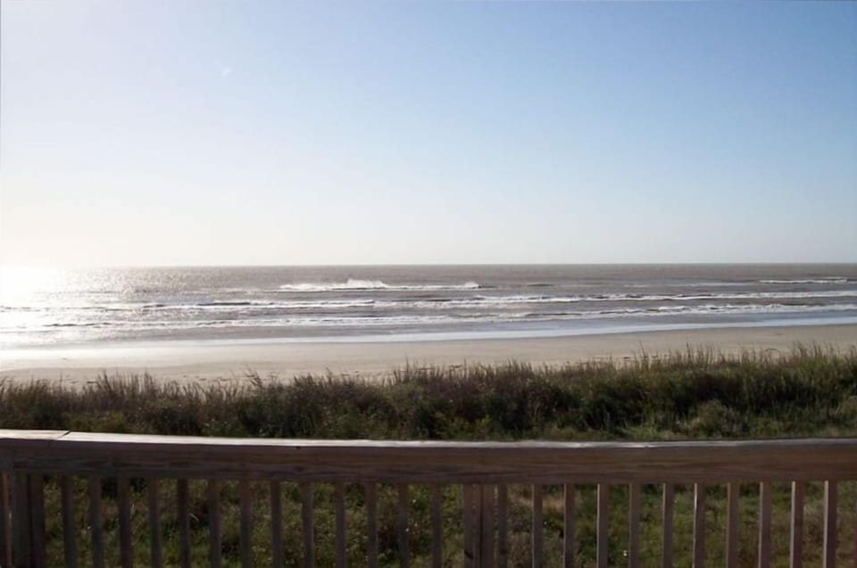 Close your eyes and you can hear the ocean