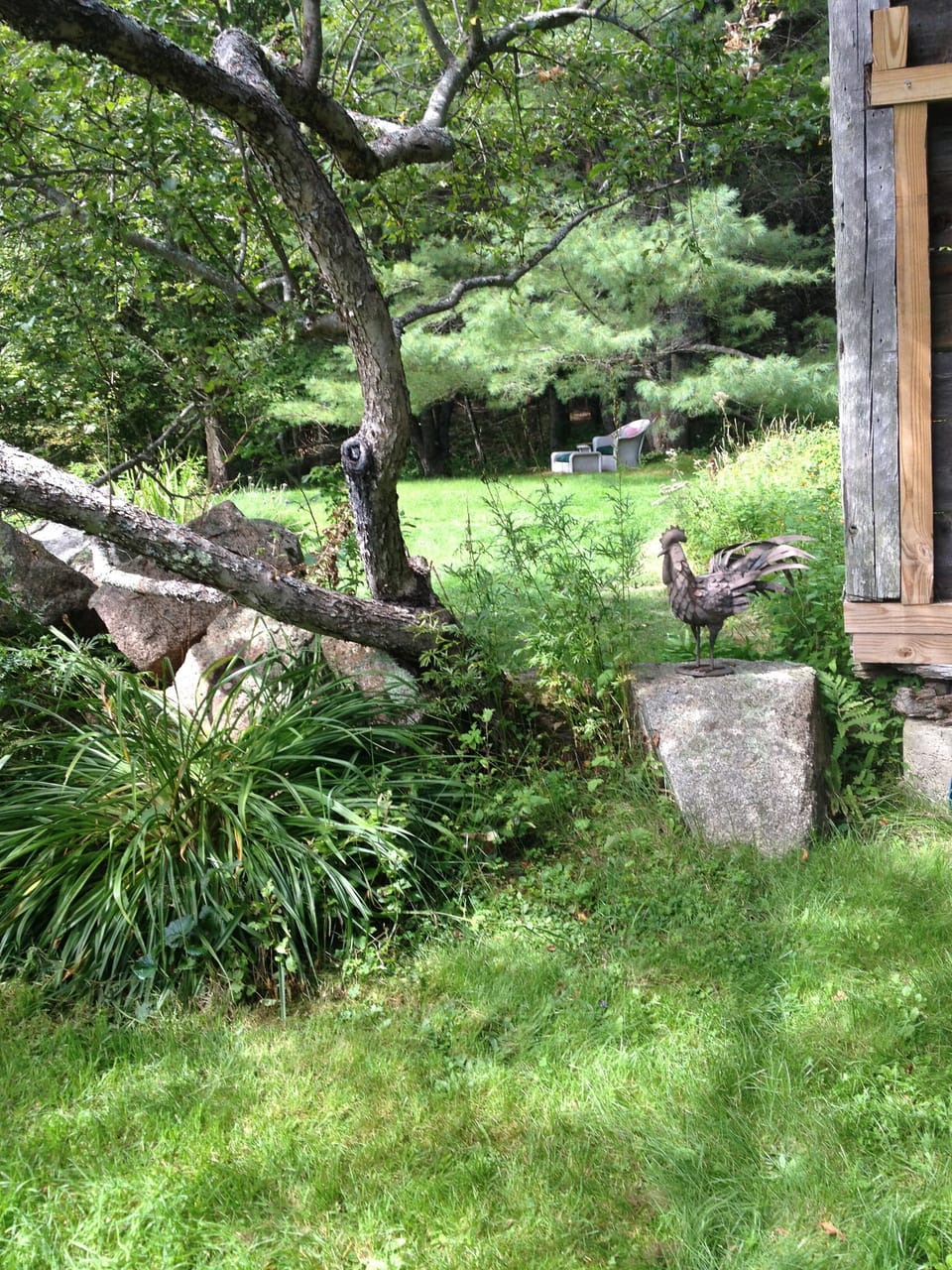 courtyard wall watched over by rooster sculpter