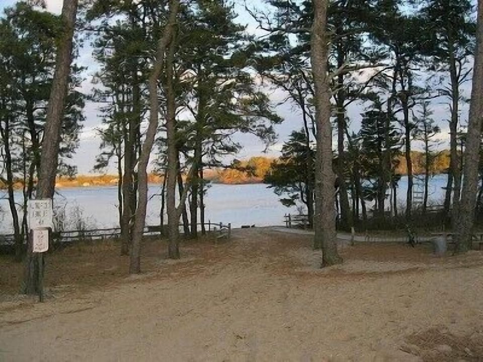 Wiley Park with Great Pond

