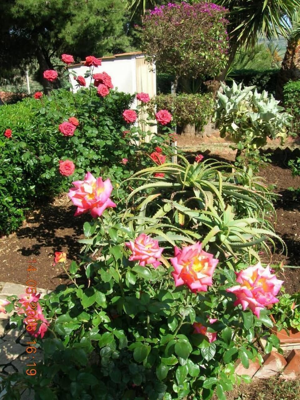 Garden, park