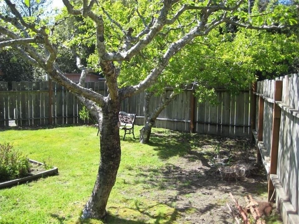 Quiet garden for meditation shared with other guests on the property