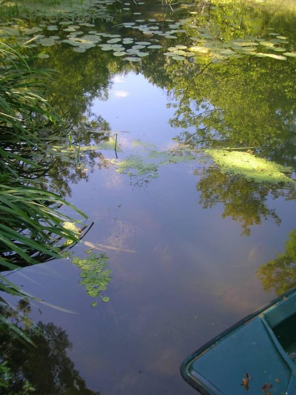 Garden, Park