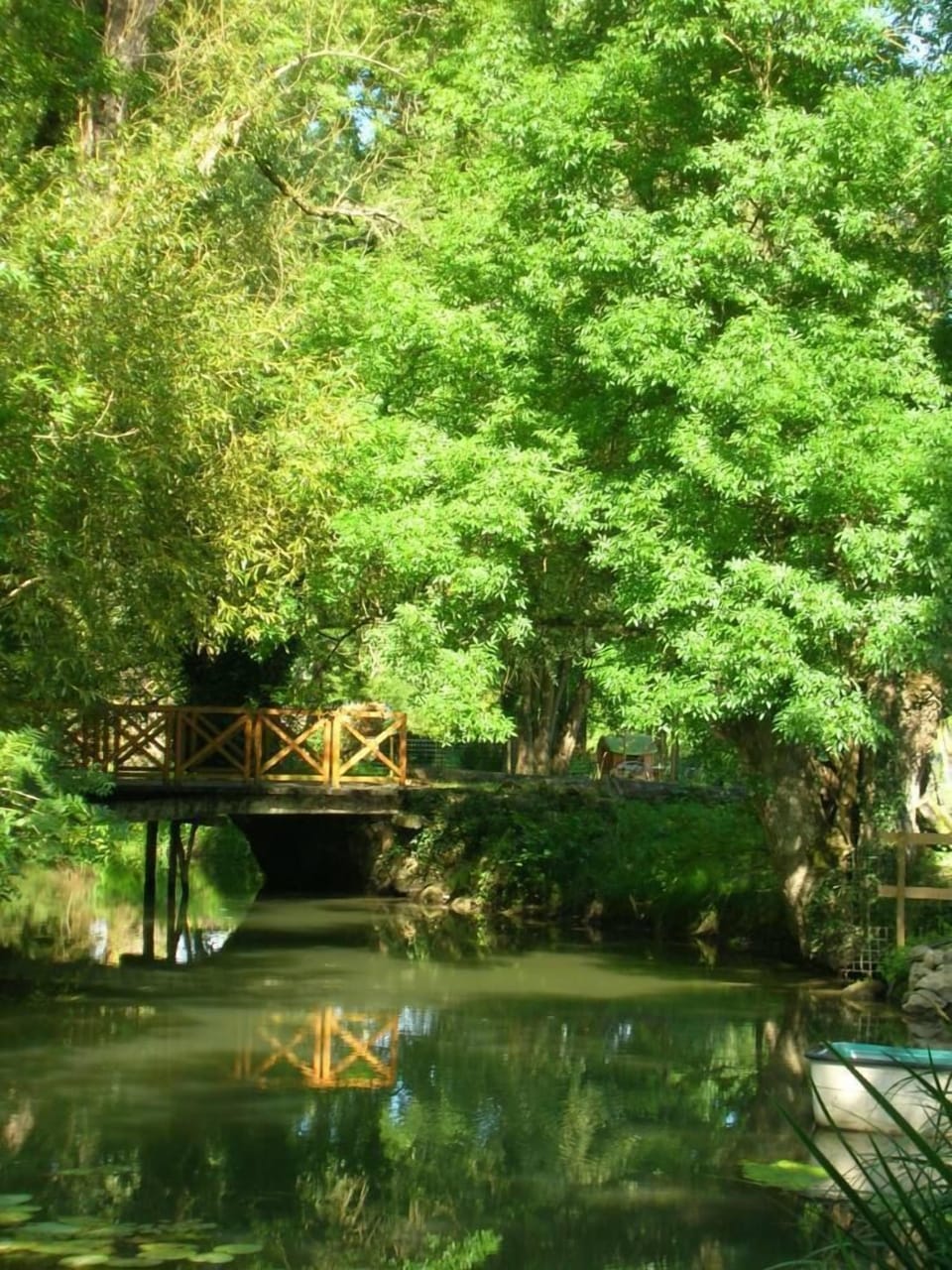 Garden, Park