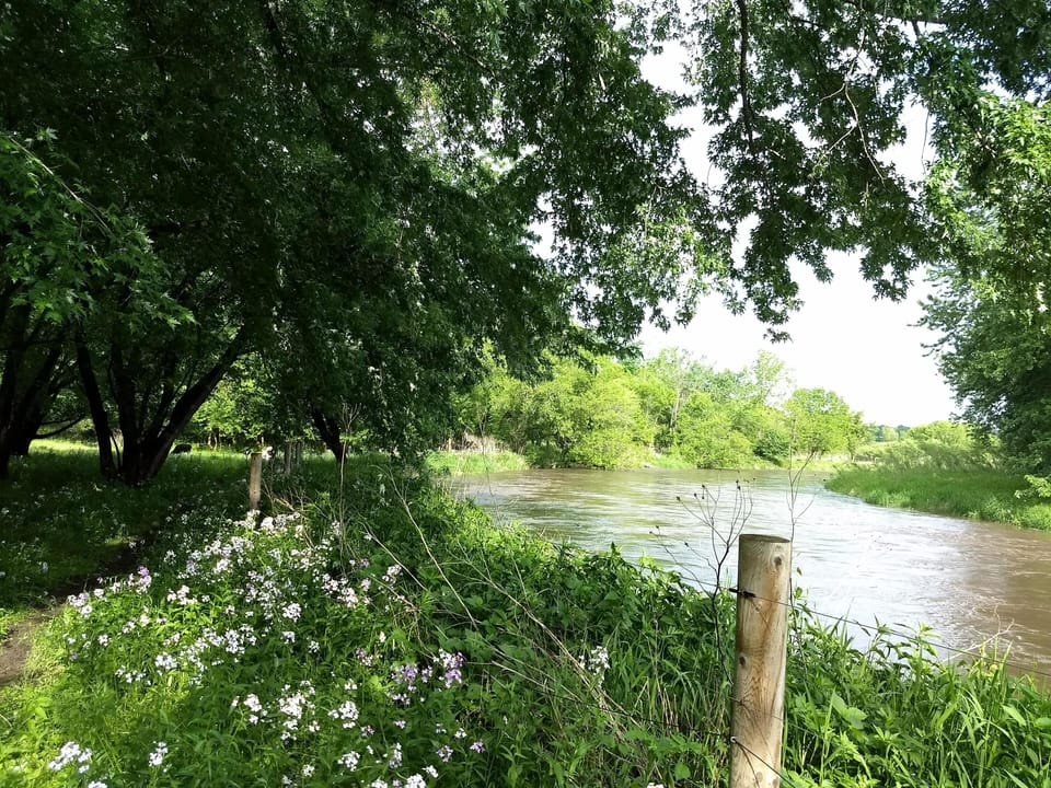 Zumbro River in the pasture