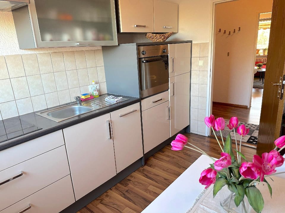 fully equipped kitchen, dishwasher, fridge-freezer, oven