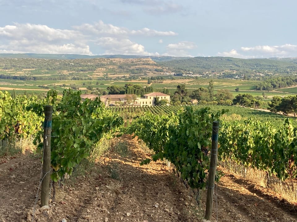 Local Vineyard Estate