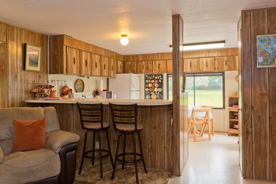 Counter separates kitchen from living room
