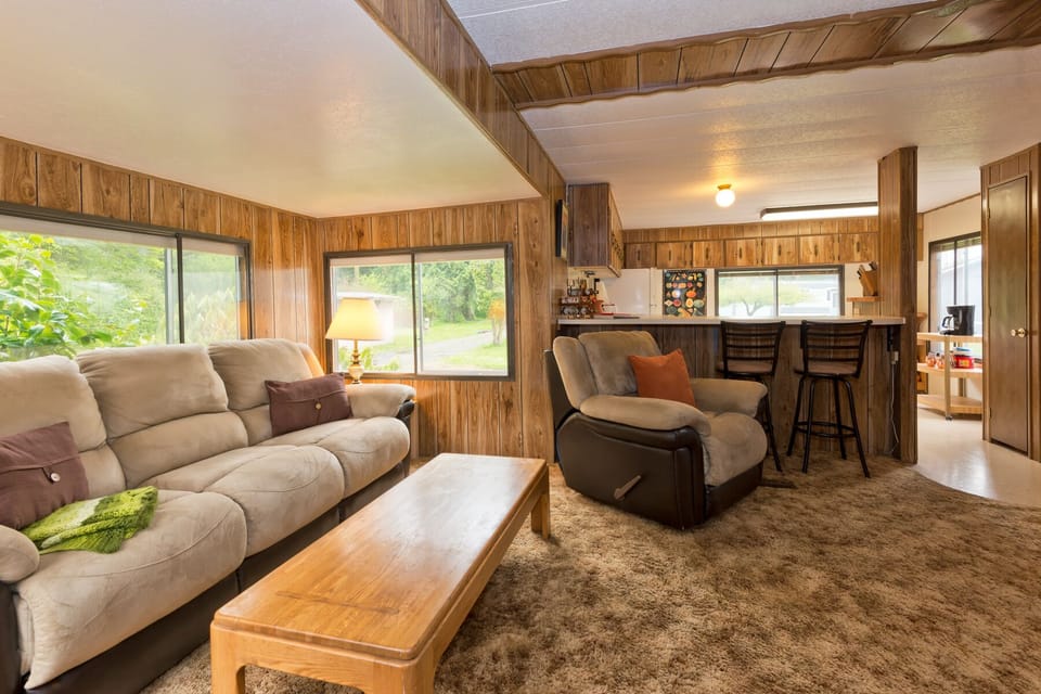 Comfortable couch and chair for watching TV