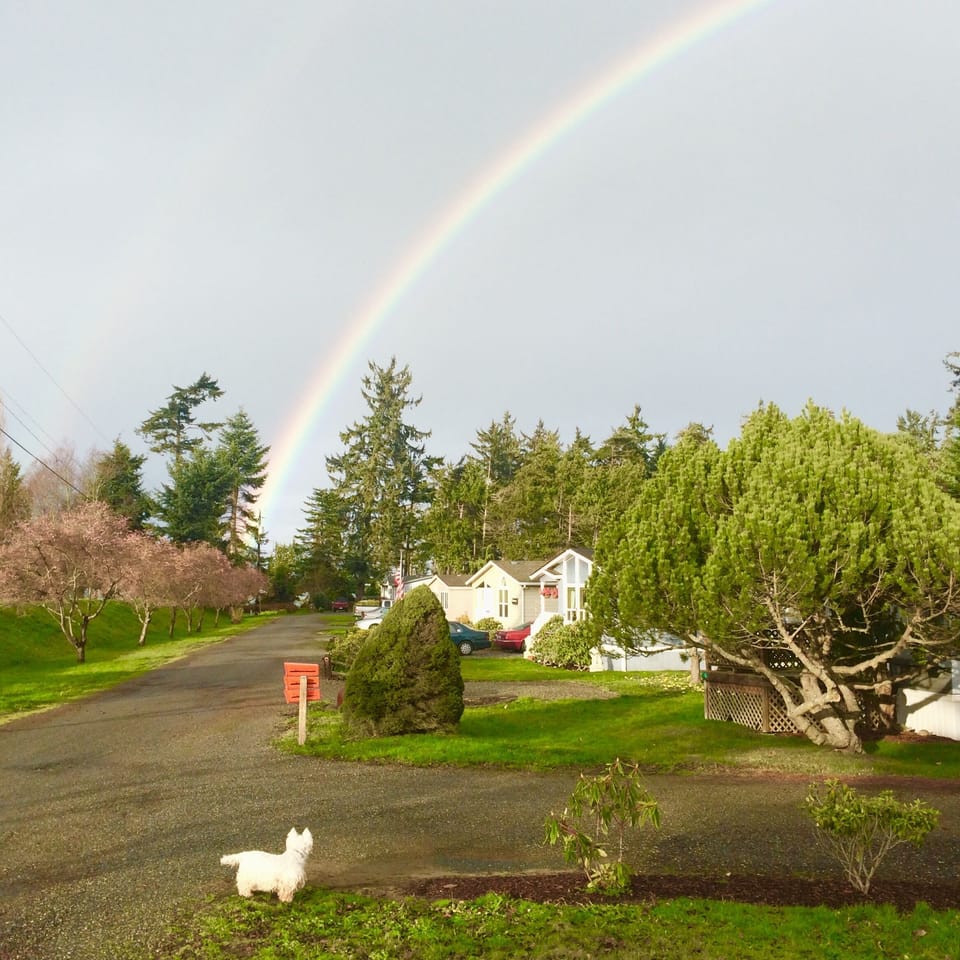 Our peaceful community