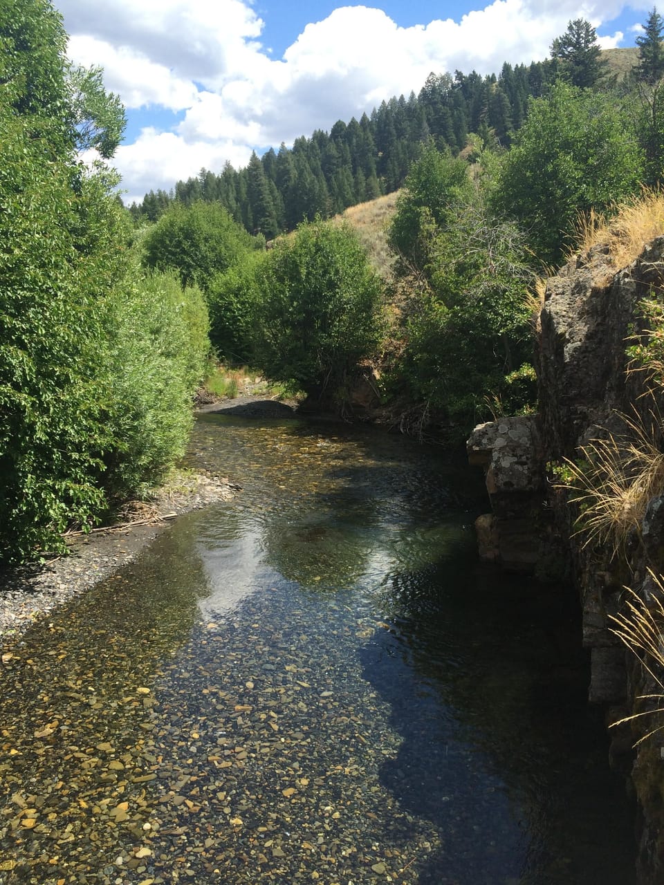 Hiking, Proctor near Trail Creek Cabin and Hemingway Monument
