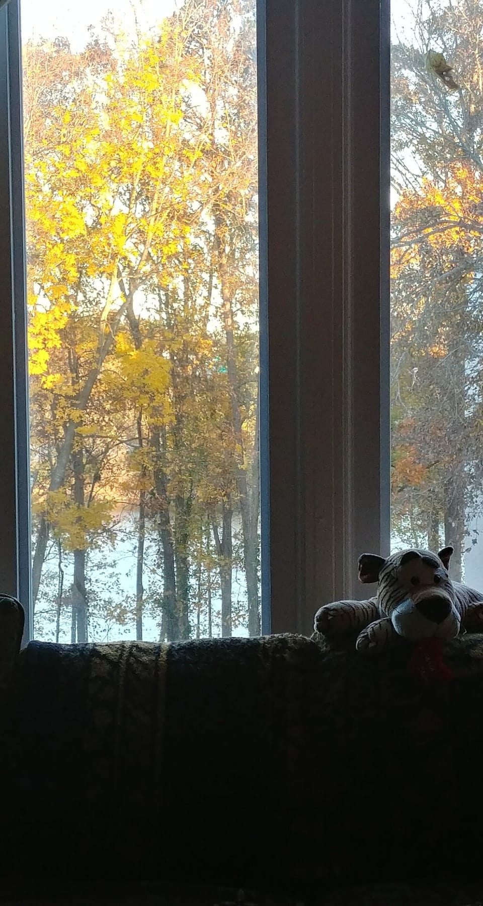 Nice autumn view of Lake Hartwell from the livingroom