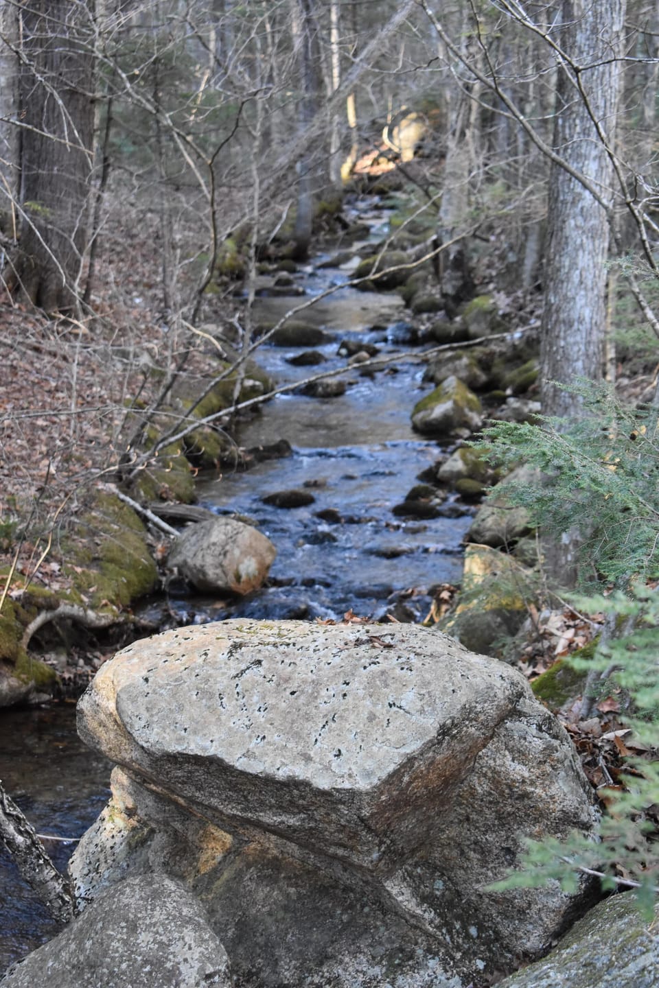 View along hiking trail