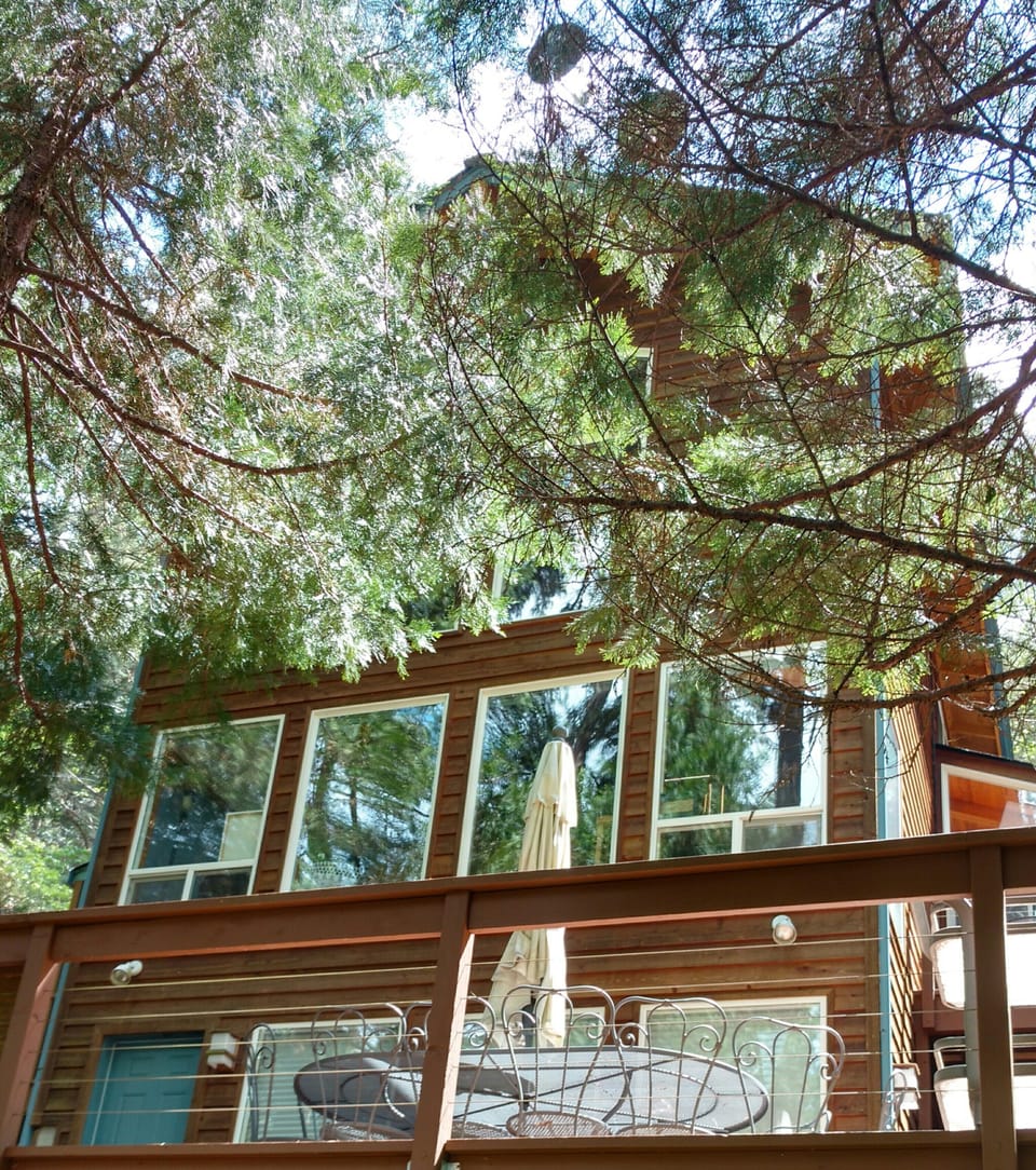 Windows looking out to the forest and Griffin Creek
