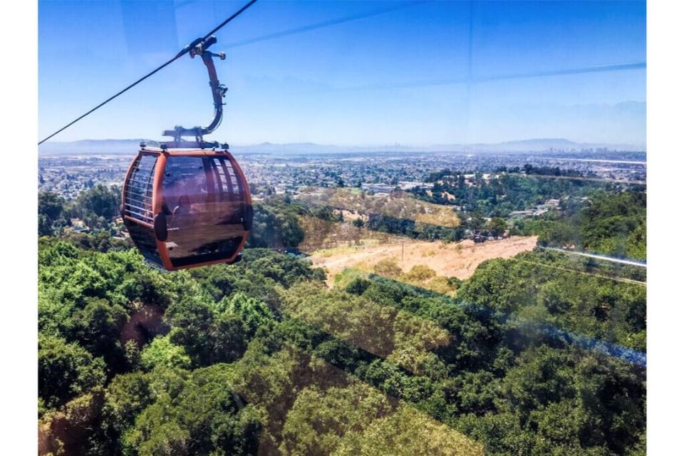 Ride a gondola at the Oakland zoo