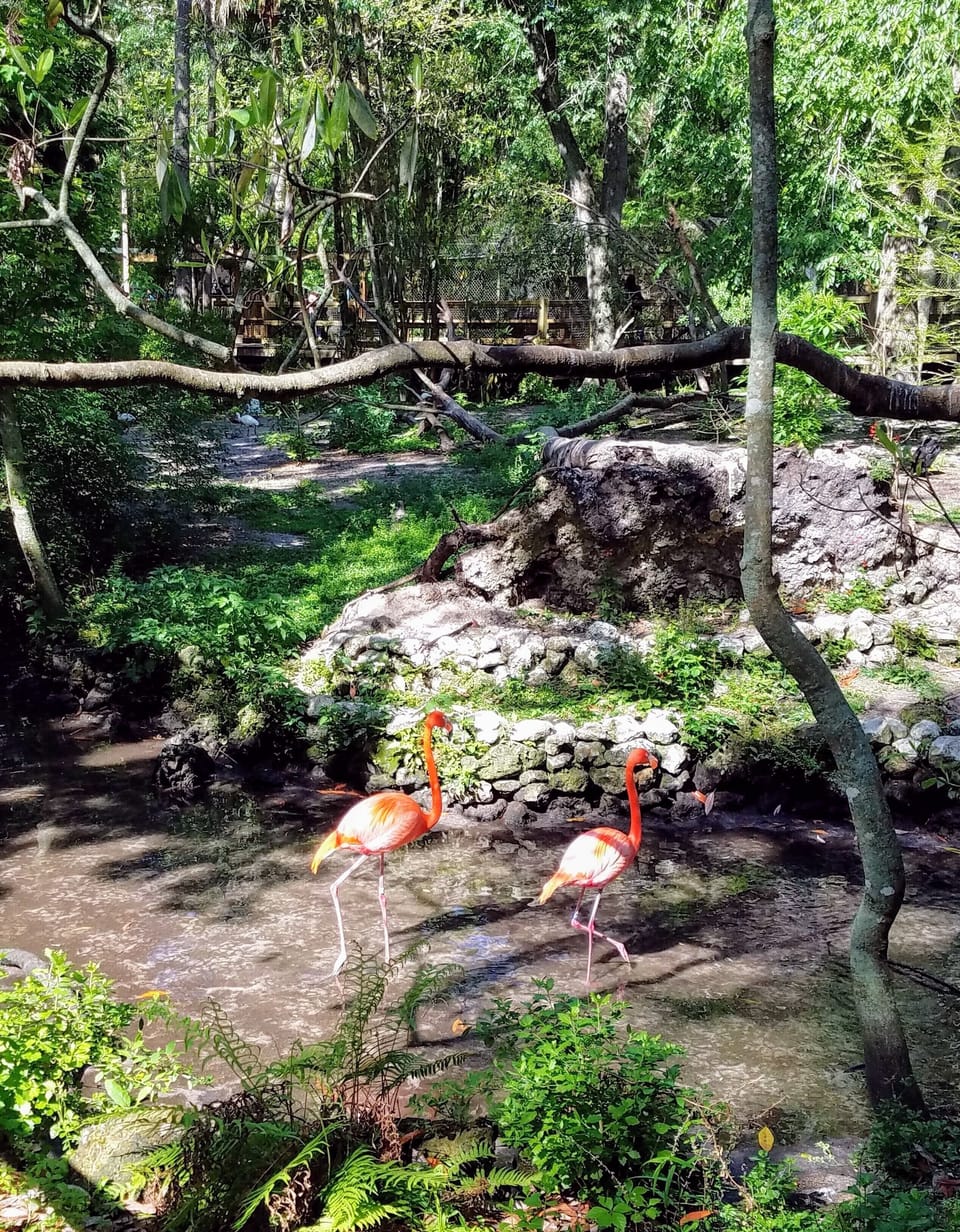 Visit Homosassa Springs