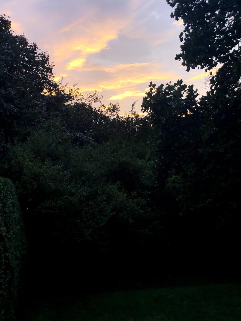 The back garden is a great place to catch sunsets. 