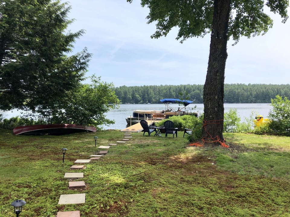 Summer lake life